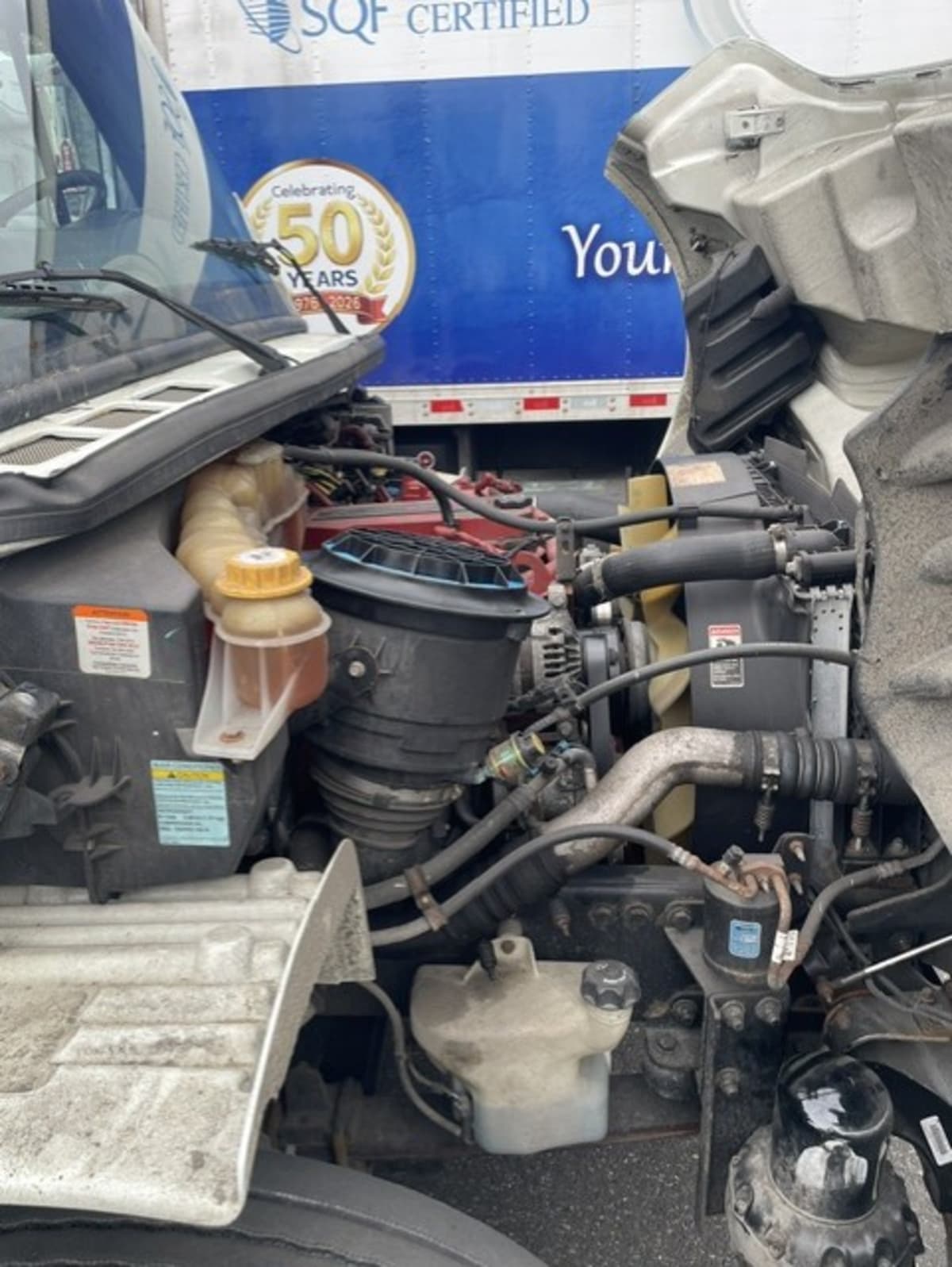 2019 Freightliner/Mercedes M2 106 881576