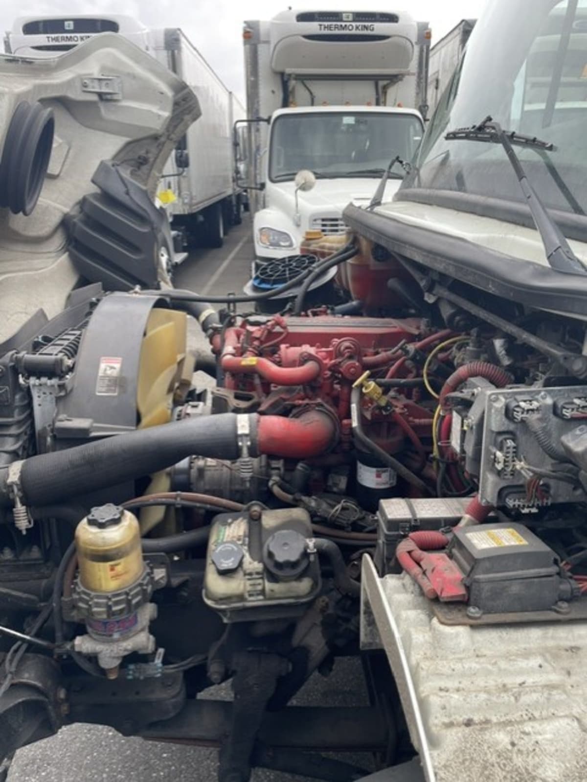 2019 Freightliner/Mercedes M2 106 881576