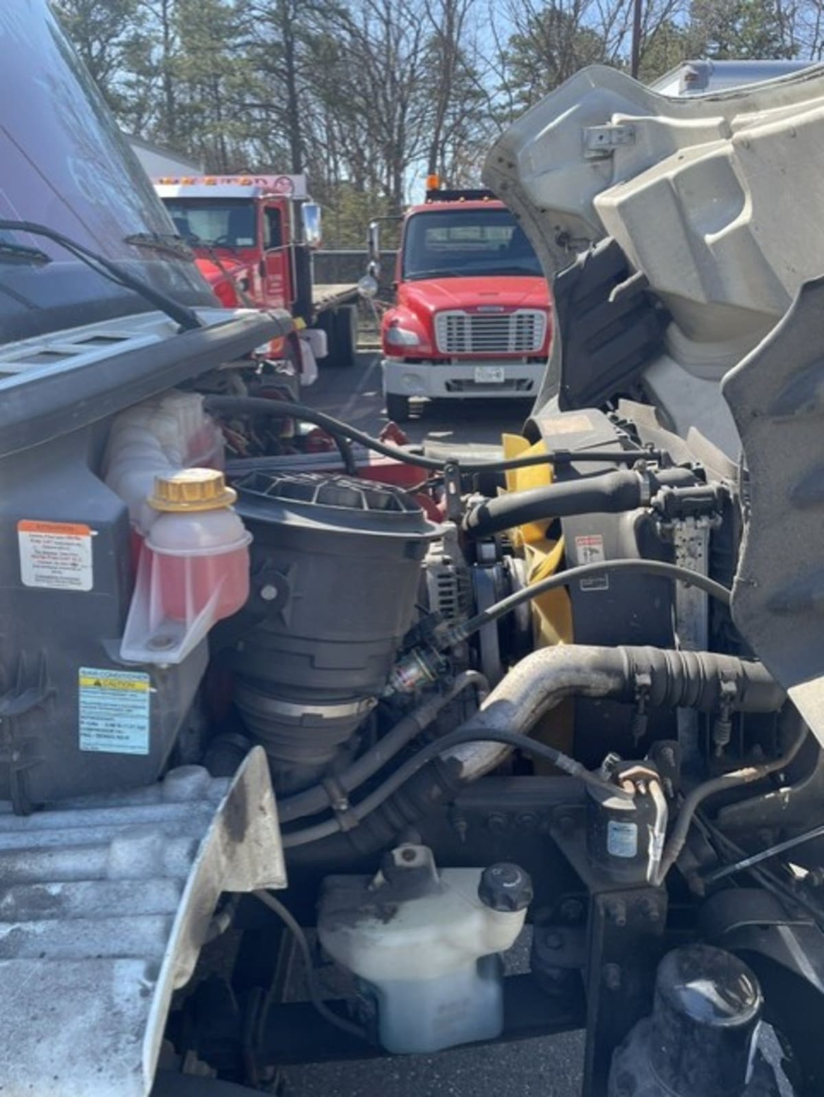 2019 Freightliner/Mercedes M2 106 881577