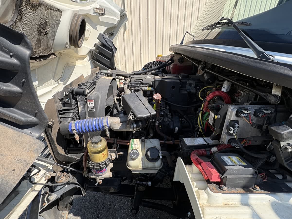 2019 Freightliner/Mercedes M2 106 881680