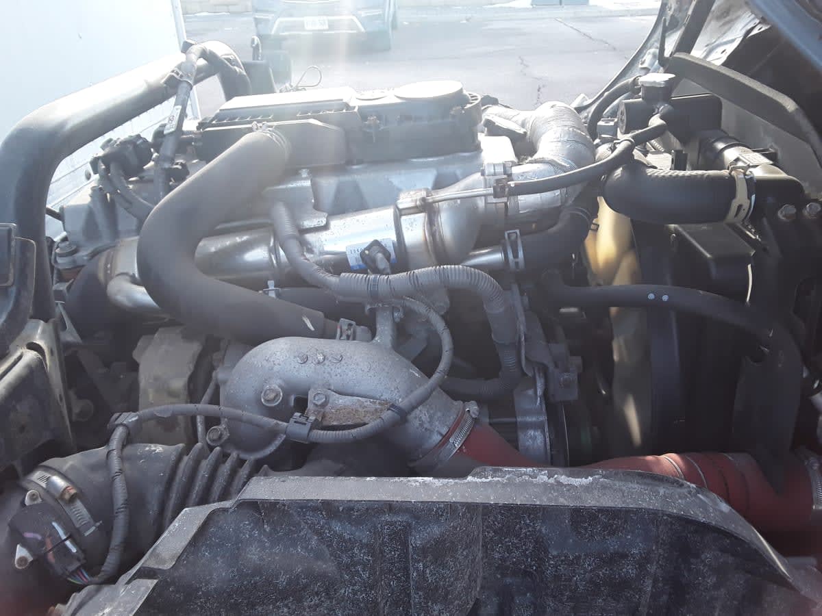 2019 Hino HINO 195 881835