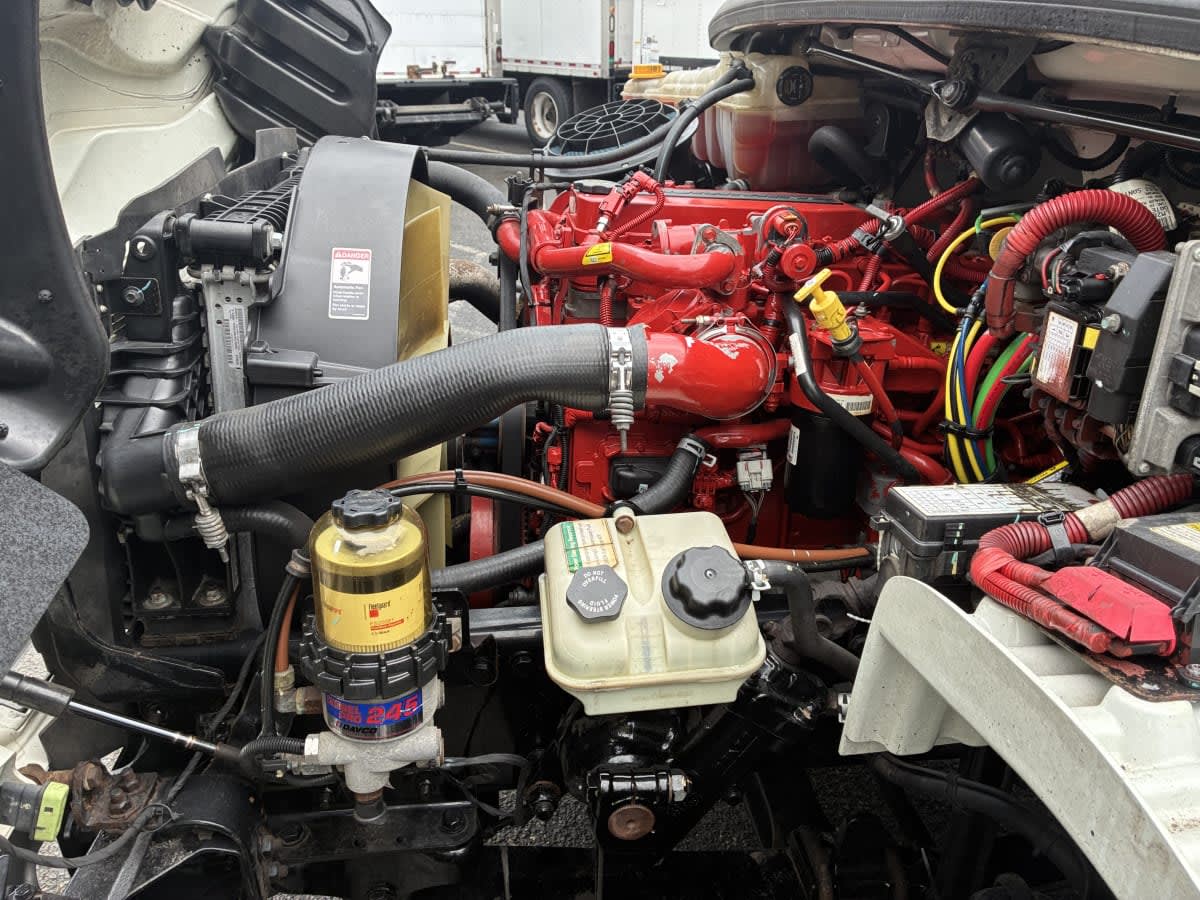 2019 Freightliner/Mercedes M2 106 881842