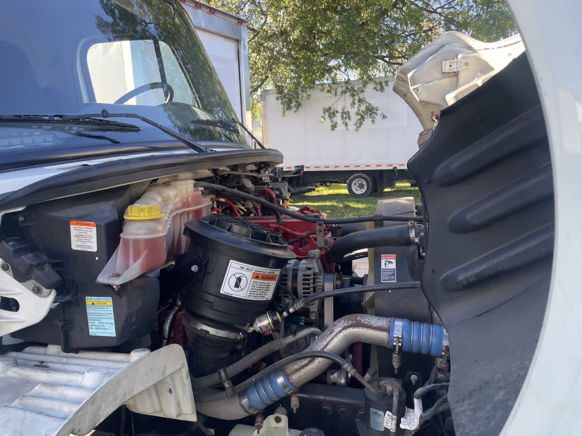 2019 Freightliner/Mercedes M2 106 881976