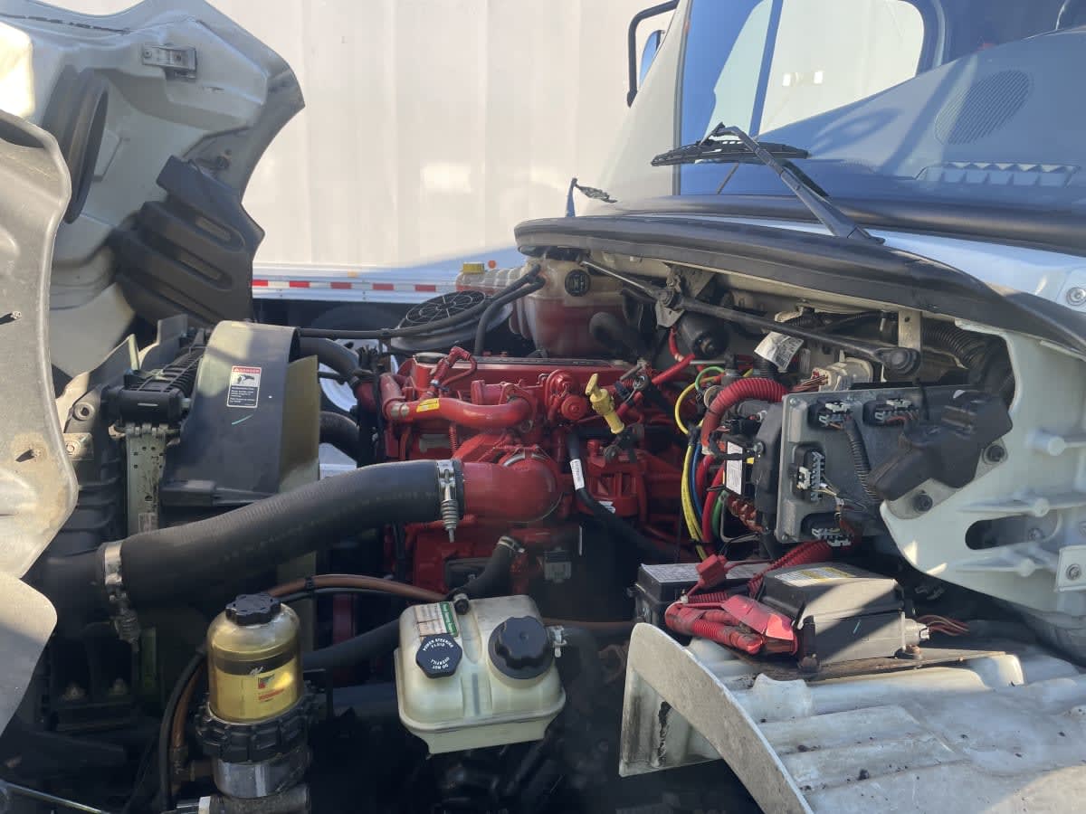 2019 Freightliner/Mercedes M2 106 881976