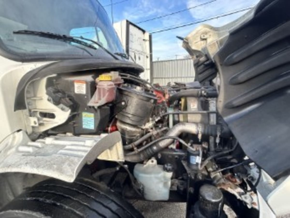 2019 Freightliner/Mercedes M2 106 882420