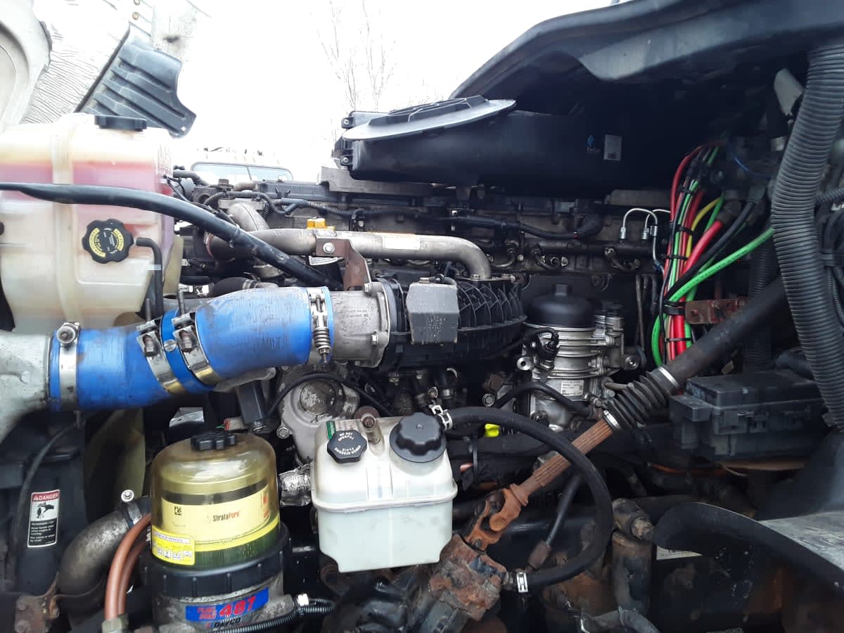 2020 Freightliner/Mercedes CASCADIA 125 882496