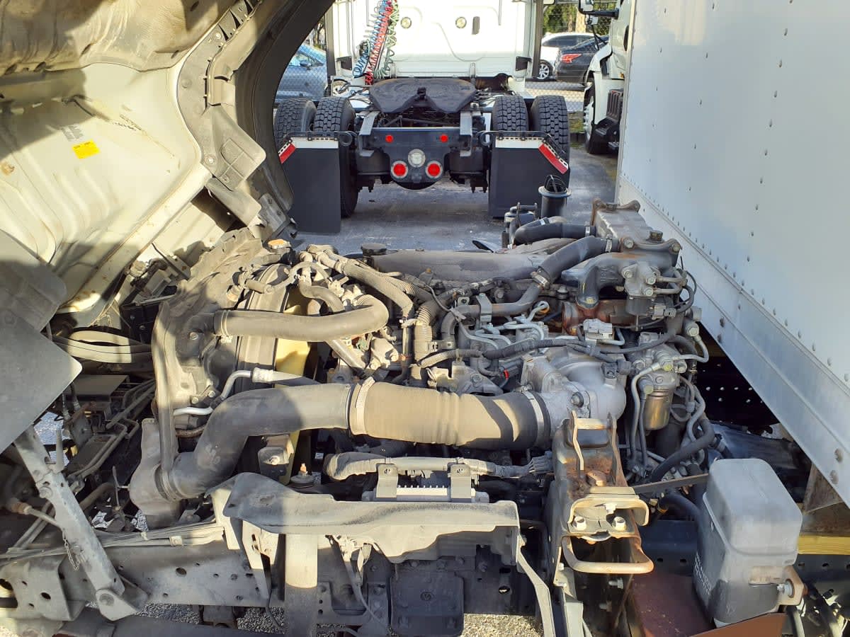 2019 Isuzu NQR 883741