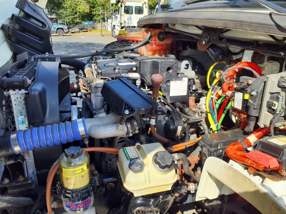 2019 Freightliner/Mercedes M2 106 884160