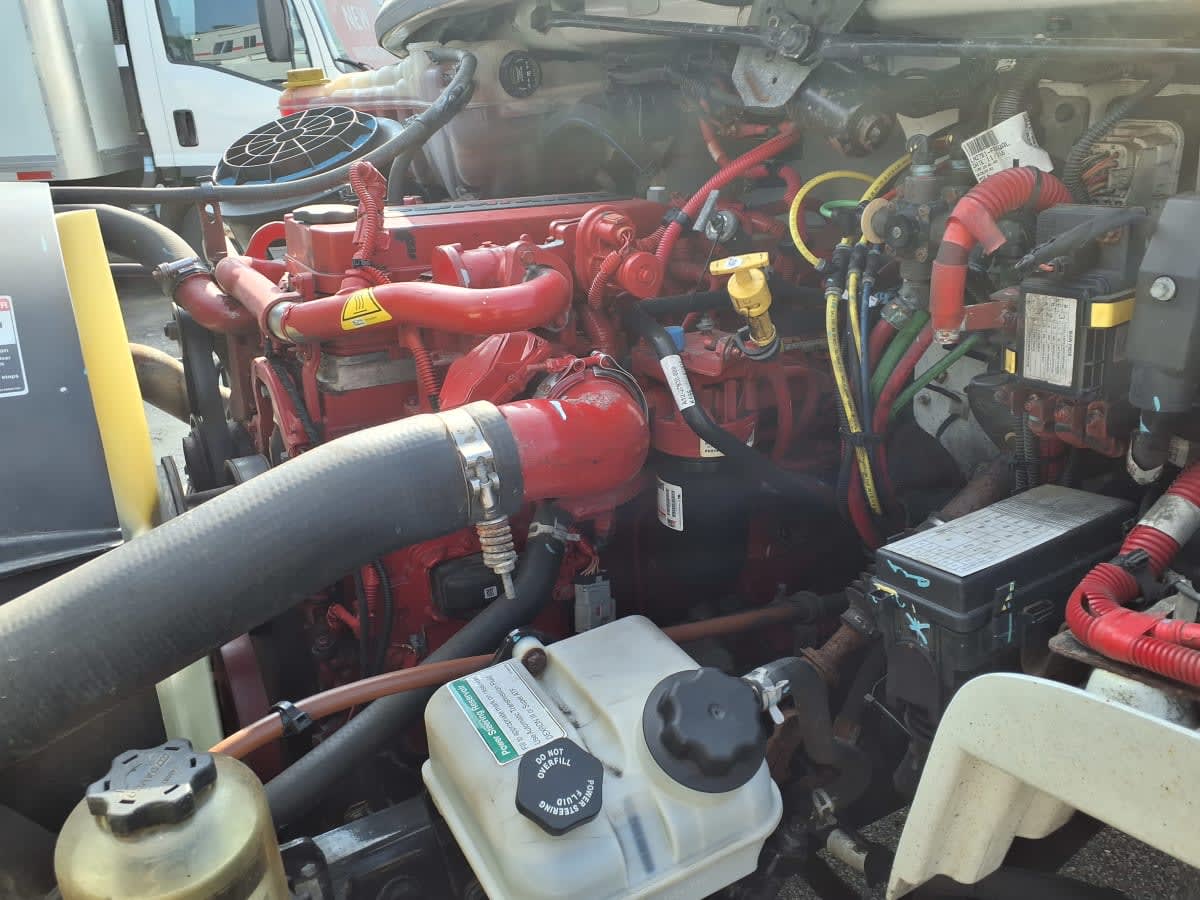 2019 Freightliner M2 106 884429