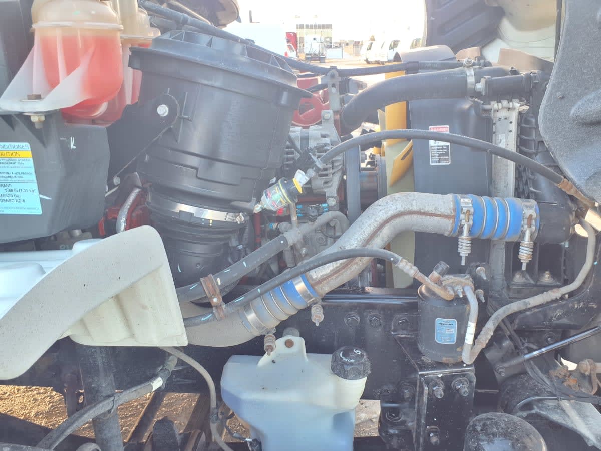 2019 Freightliner/Mercedes M2 106 884488