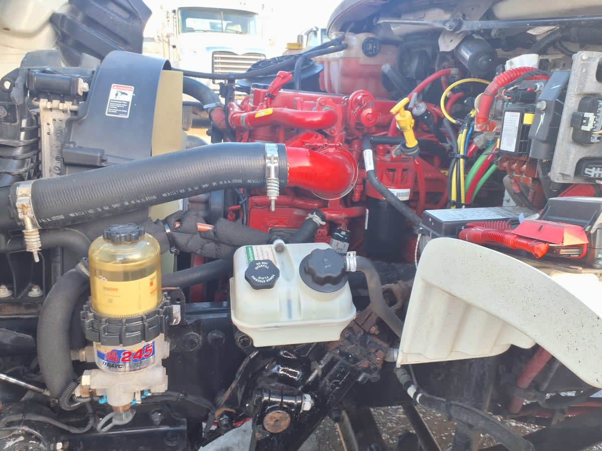 2019 Freightliner/Mercedes M2 106 884488