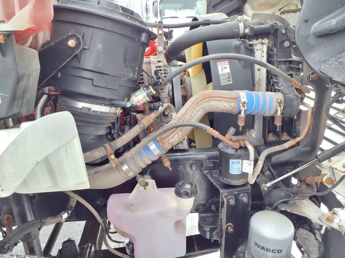 2019 Freightliner/Mercedes M2 106 884491