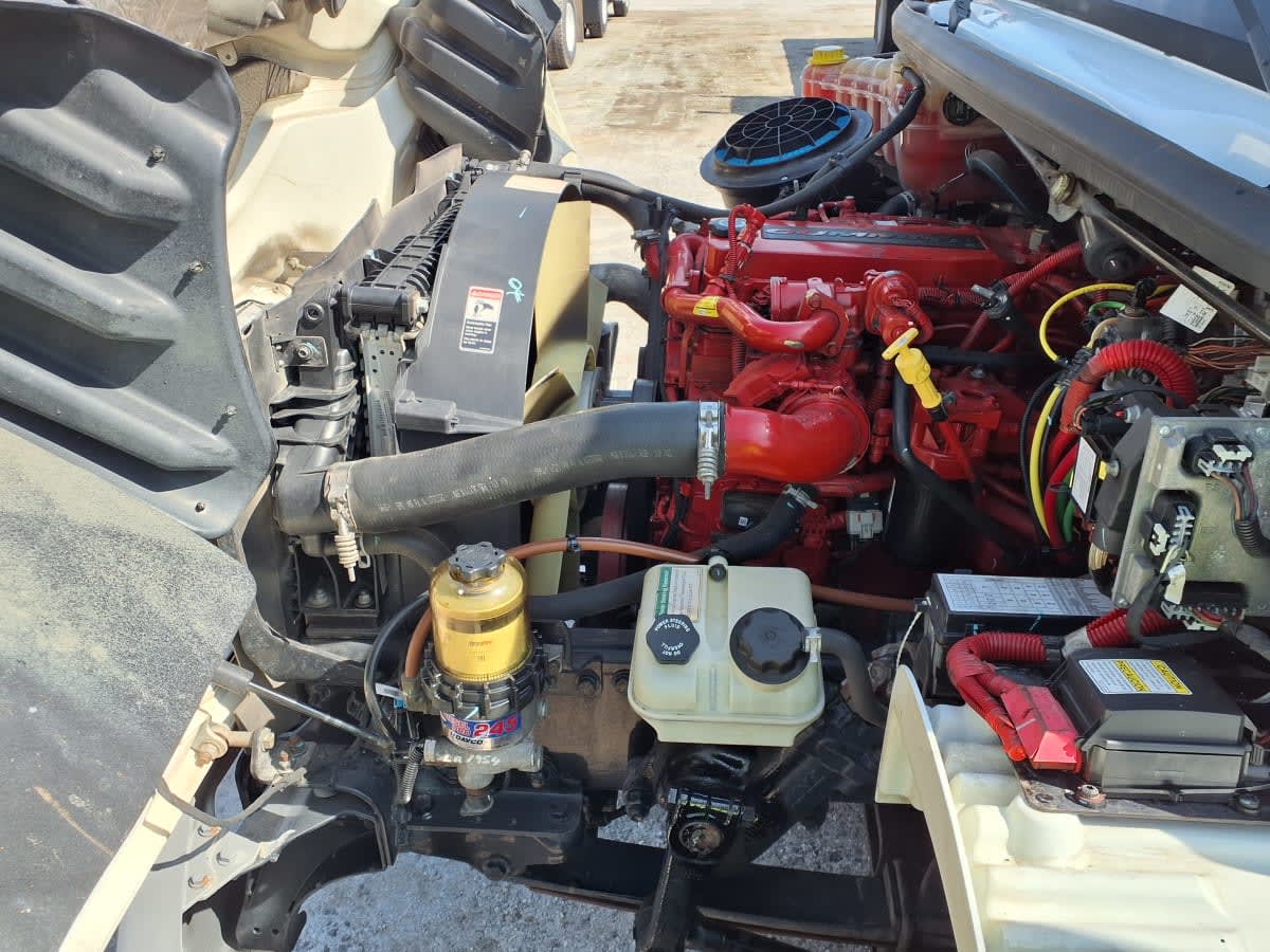 2019 Freightliner/Mercedes M2 106 884671