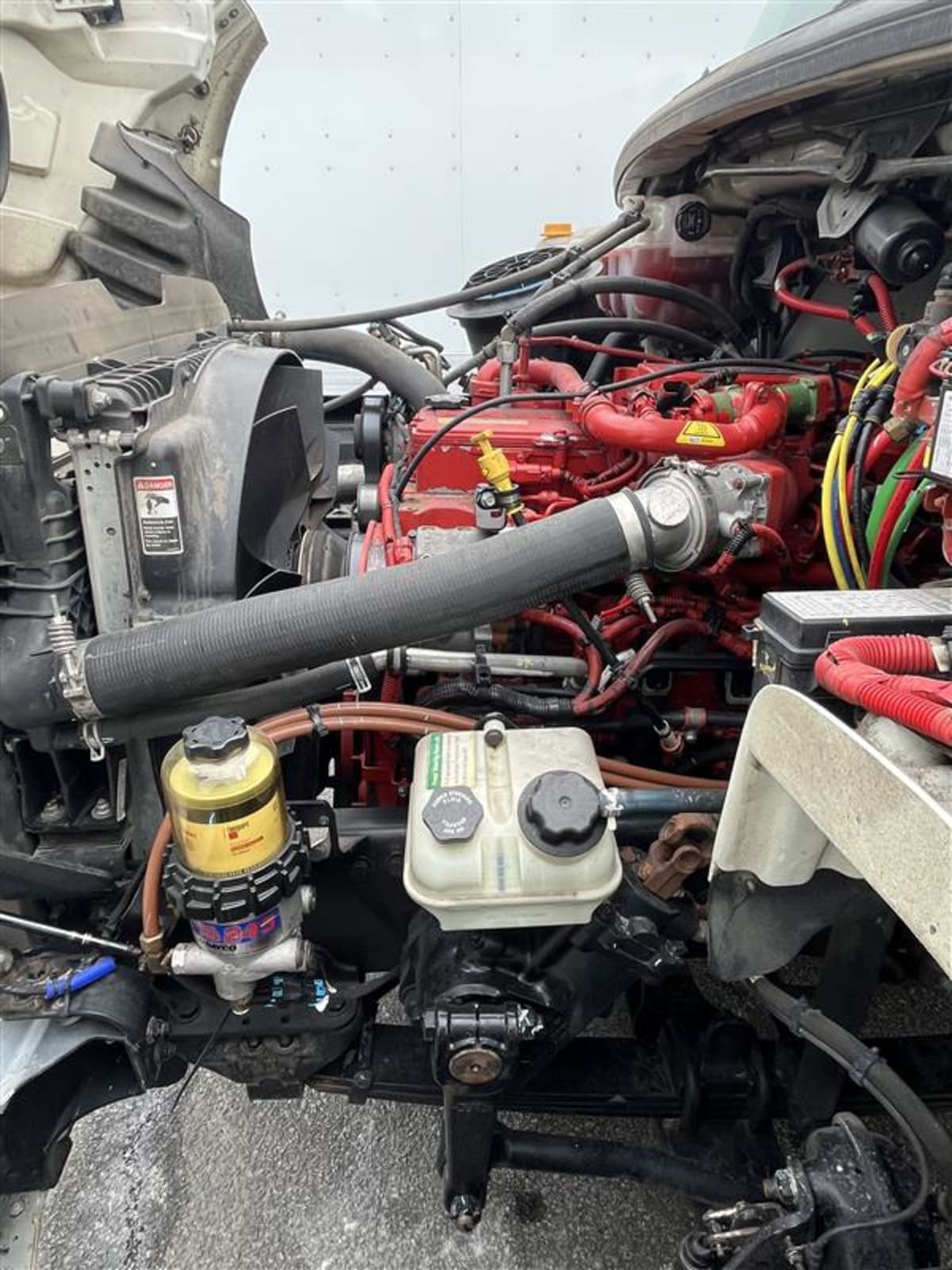 2019 Freightliner/Mercedes M2 106 884719