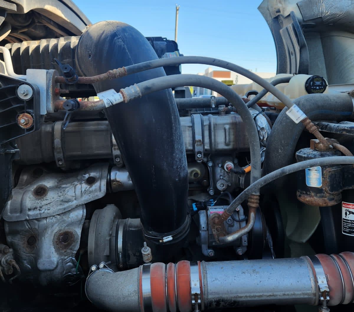 2020 Freightliner NEW CASCADIA PX12664 884764