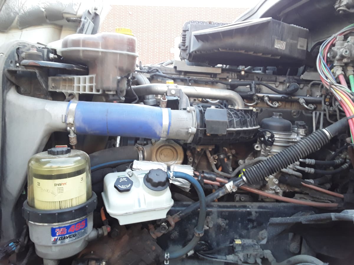 2019 Freightliner/Mercedes NEW CASCADIA PX12664 884852