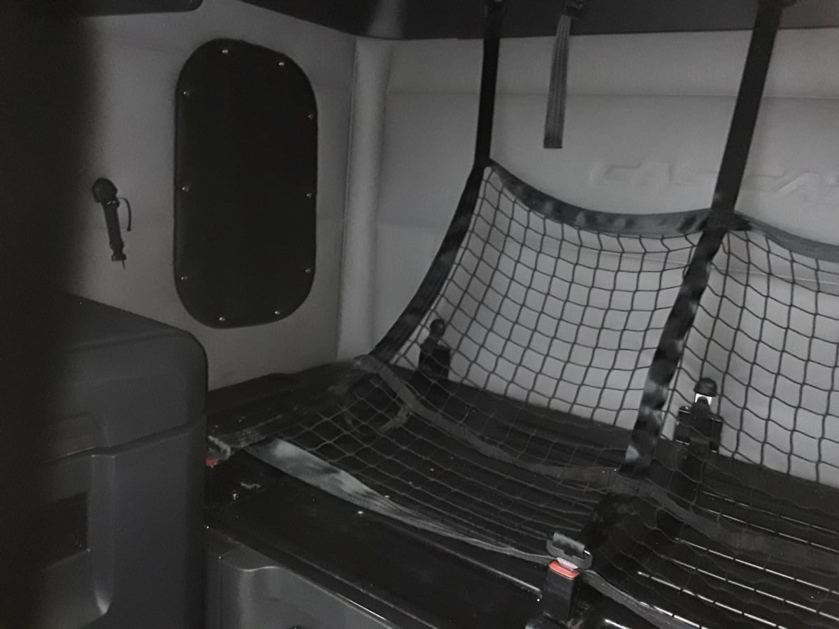 2019 Freightliner/Mercedes NEW CASCADIA PX12664 884855