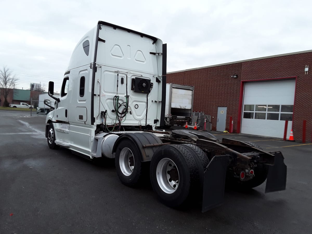 2019 Freightliner/Mercedes NEW CASCADIA PX12664 884857