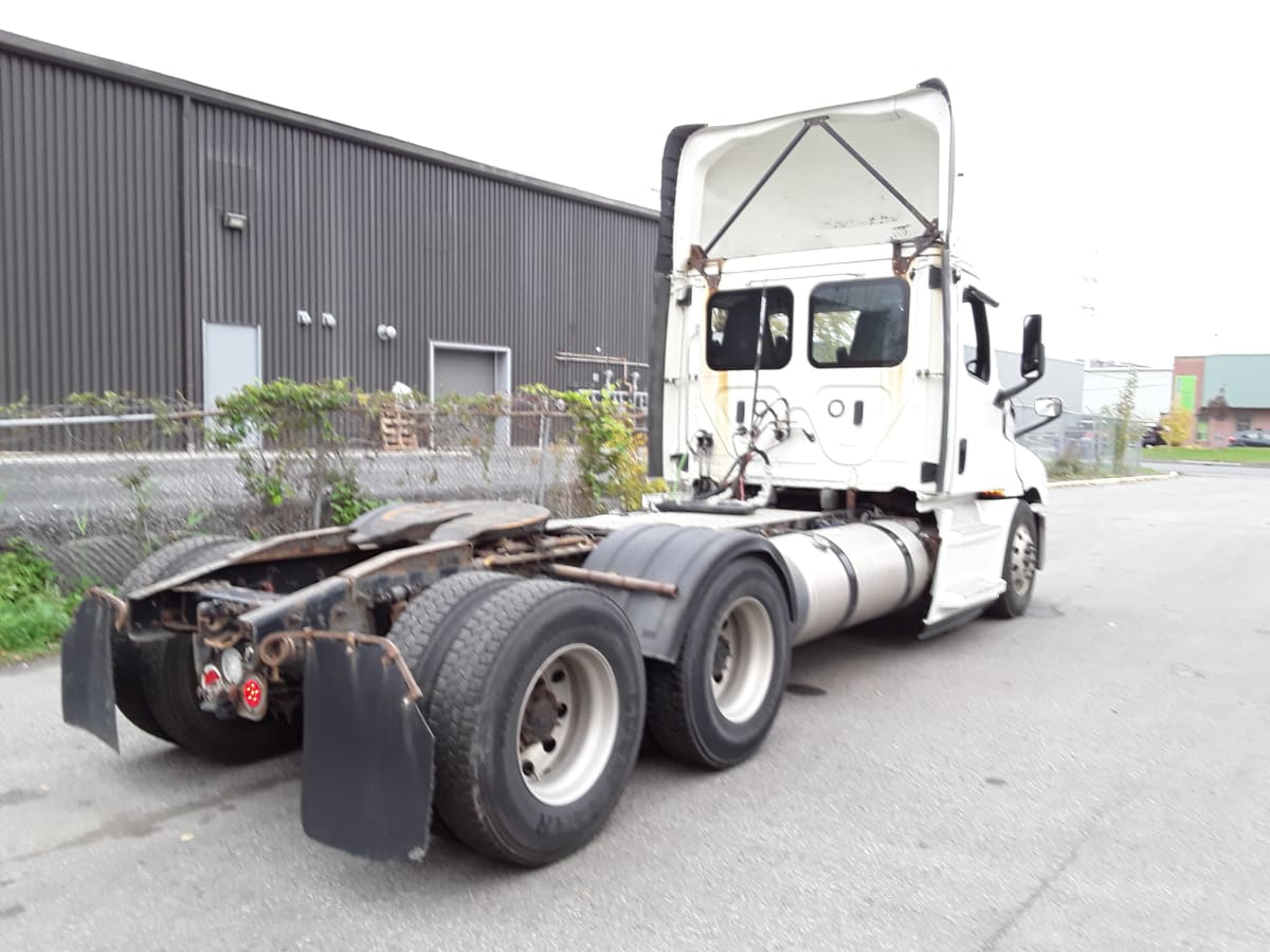 2019 Freightliner/Mercedes NEW CASCADIA PX12664 884865