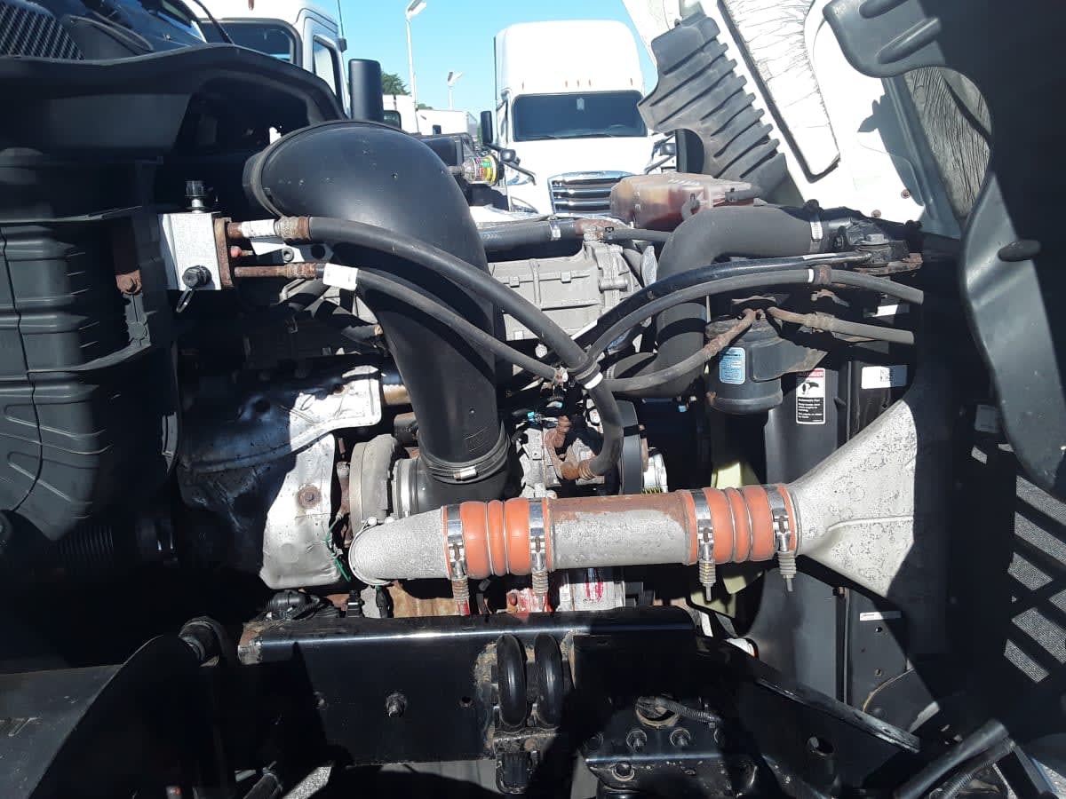 2020 Freightliner/Mercedes CASCADIA 125 884946