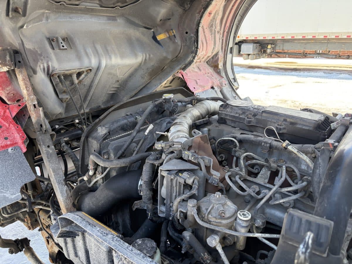 2019 Hino HINO 195 885291