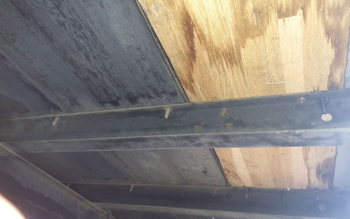 2019 Isuzu NPR 885394