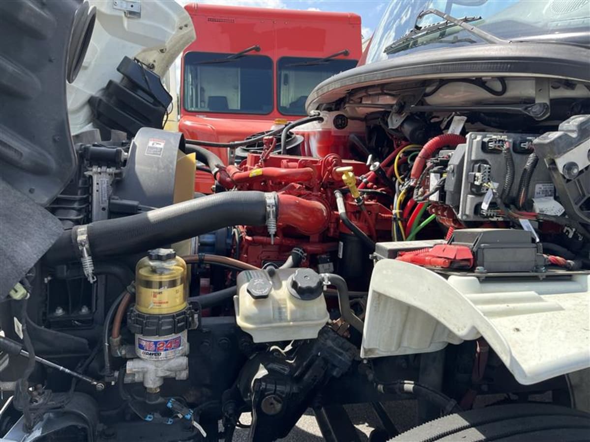 2019 Freightliner/Mercedes M2 106 885894
