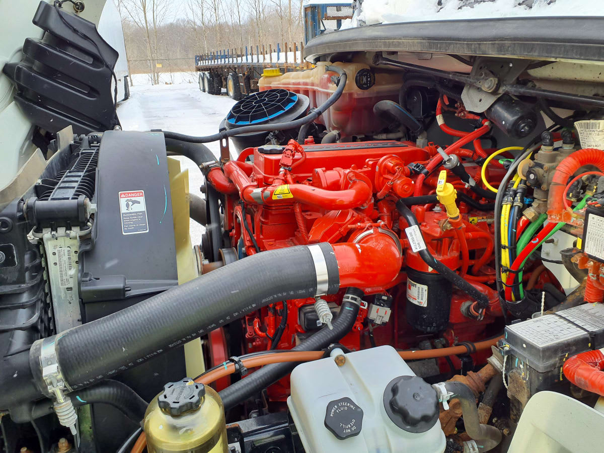 2019 Freightliner/Mercedes M2 106 886271