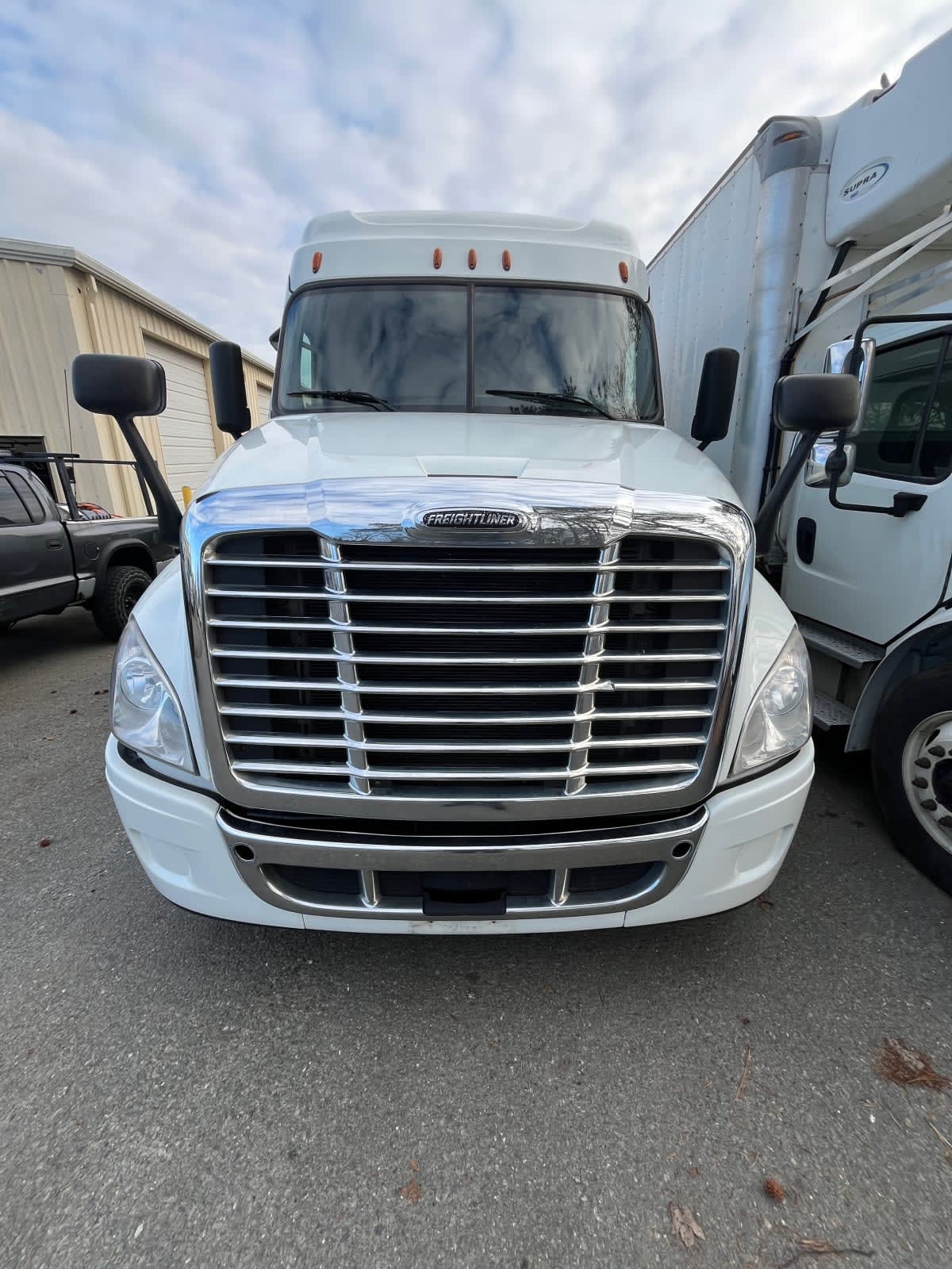 2020 Freightliner/Mercedes CASCADIA 125 894183
