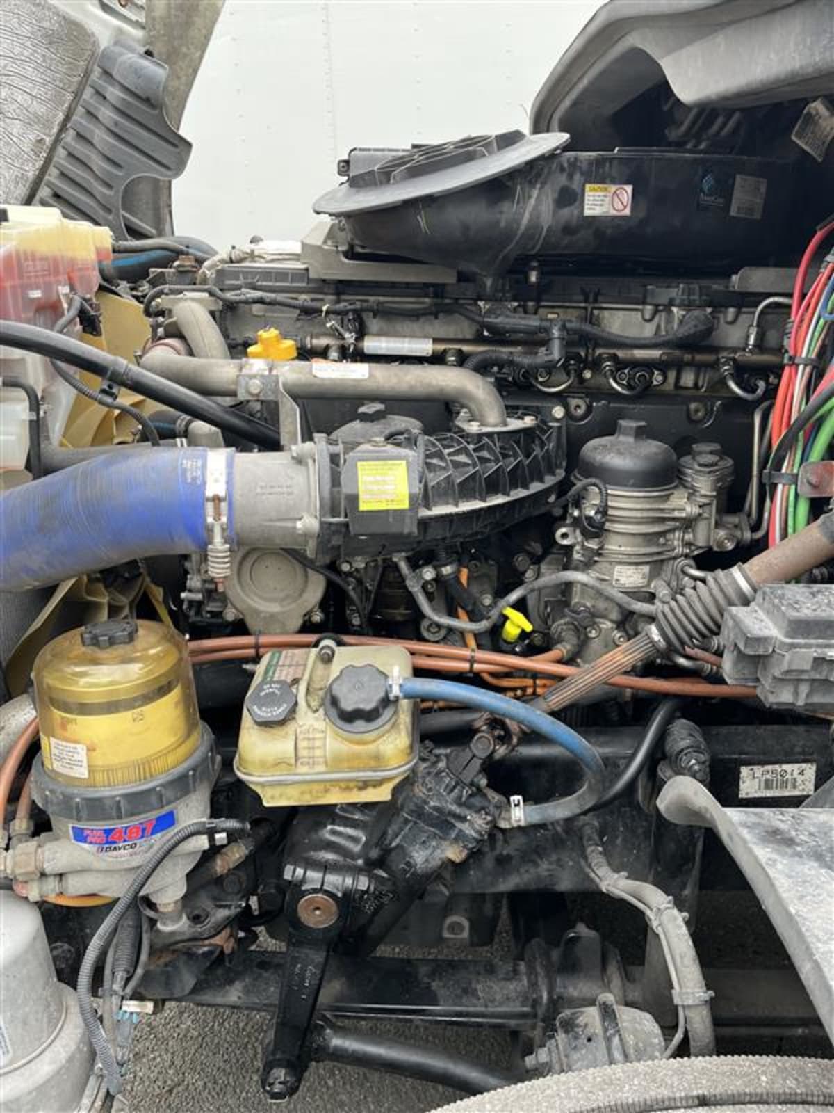 2020 Freightliner/Mercedes CASCADIA 125 894184