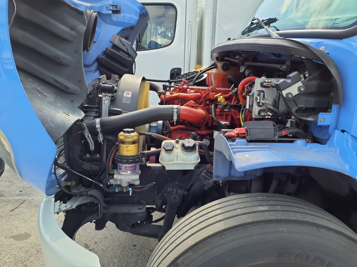 2019 Freightliner/Mercedes M2 106 894229