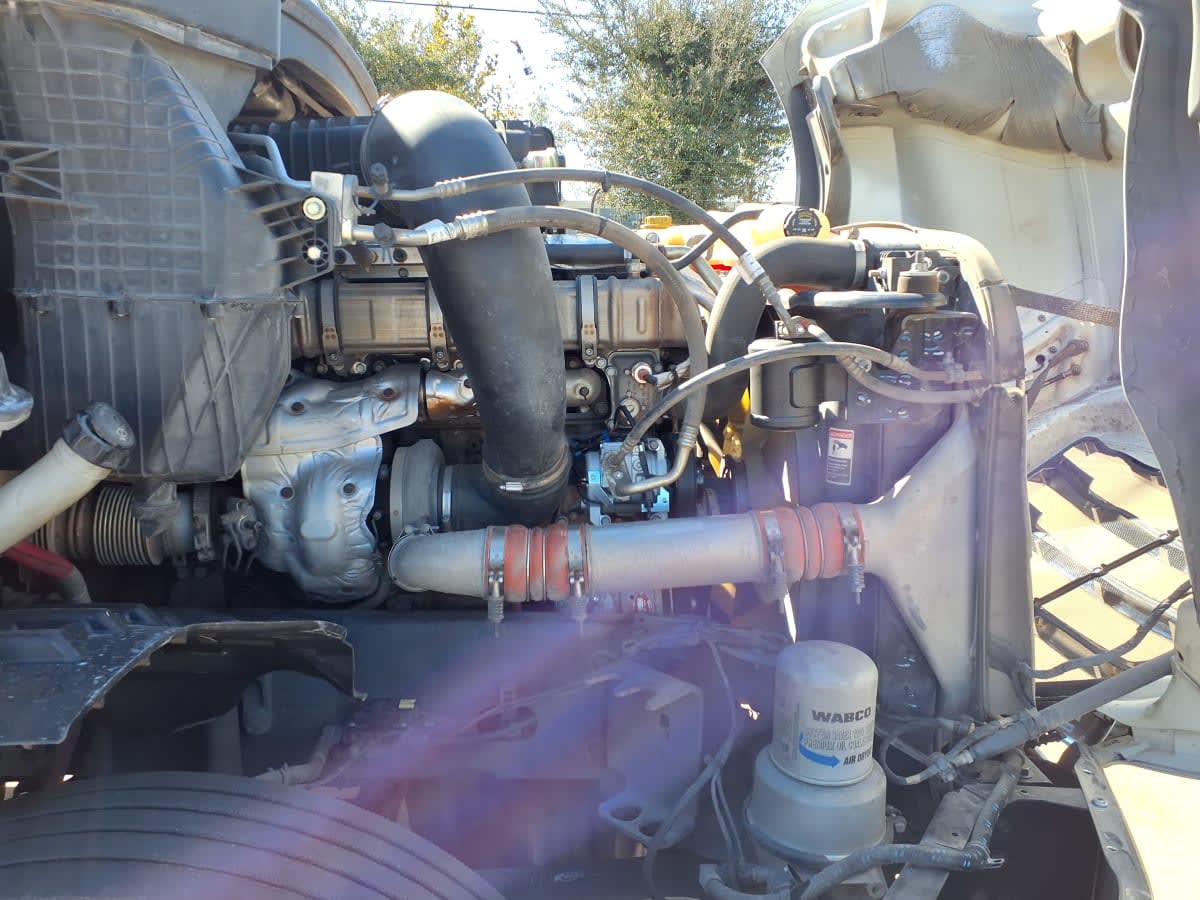 2020 Freightliner/Mercedes NEW CASCADIA PX12664 894255