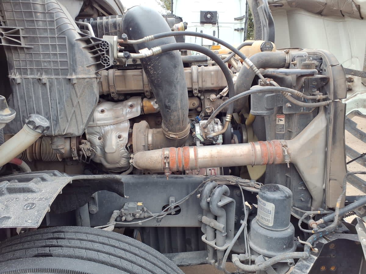 2020 Freightliner/Mercedes NEW CASCADIA PX12664 894258