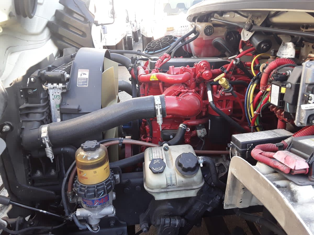 2019 Freightliner/Mercedes M2 106 894262