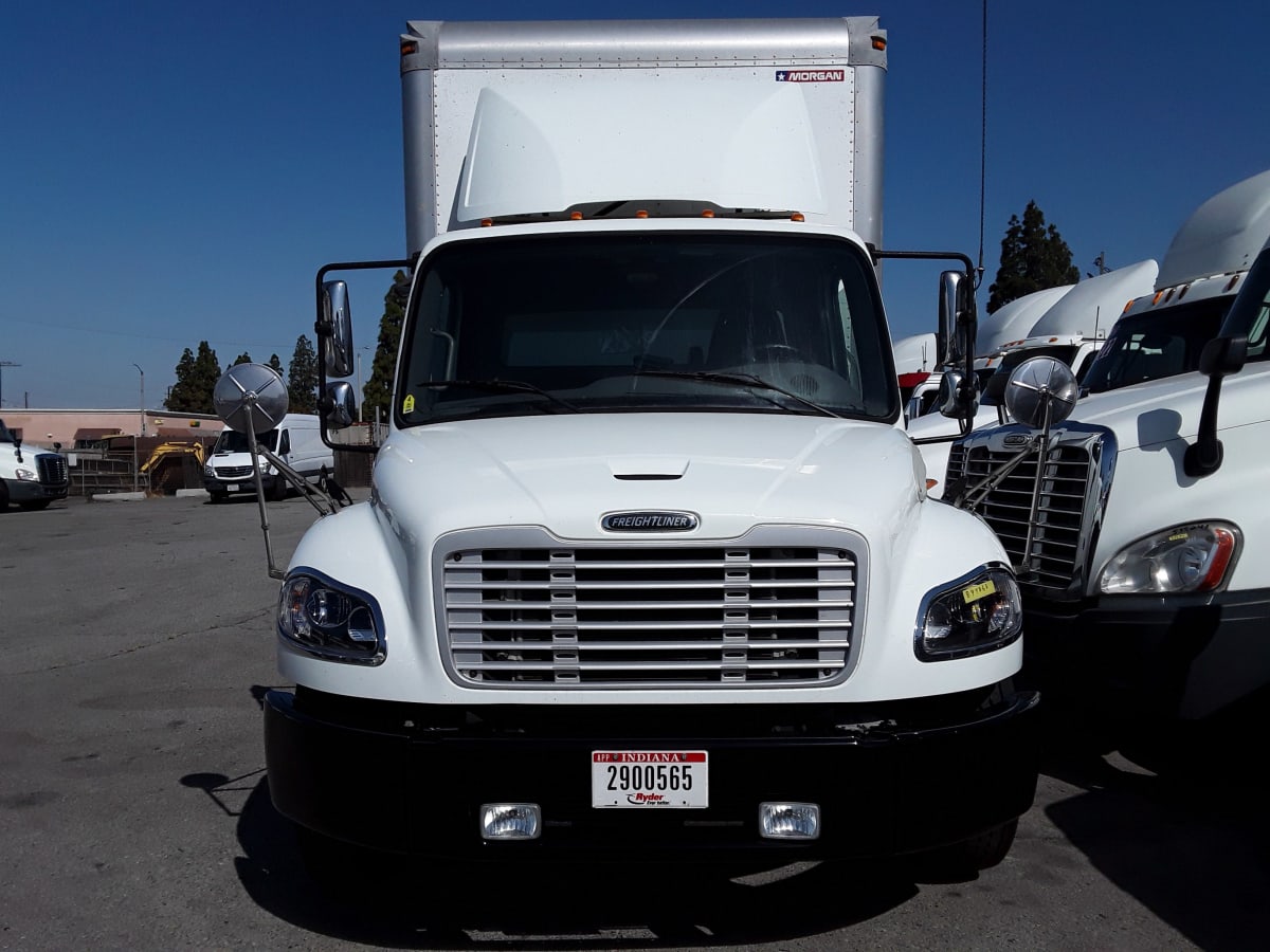 2019 Freightliner/Mercedes M2 106 894268