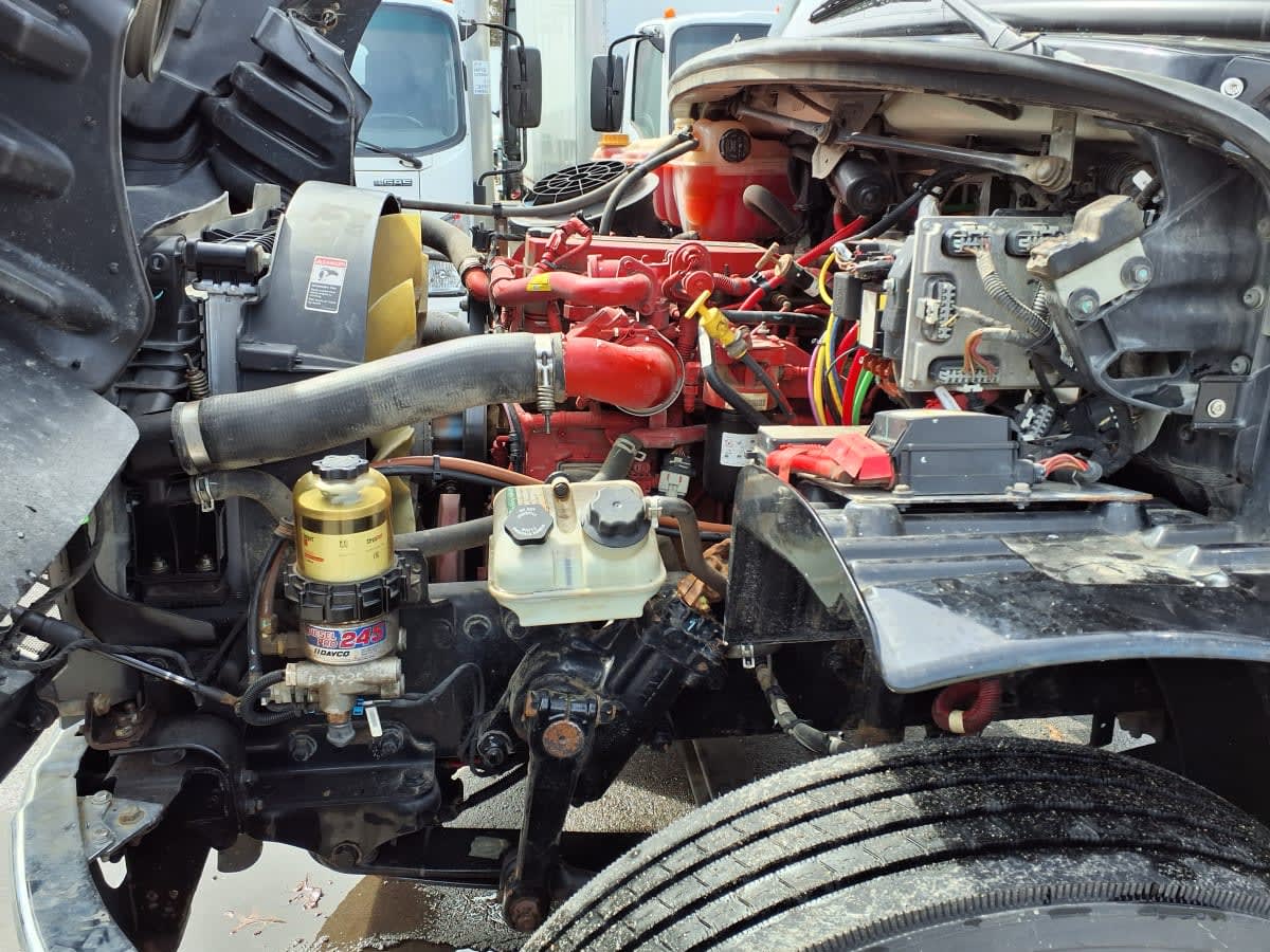 2019 Freightliner/Mercedes M2 106 894284