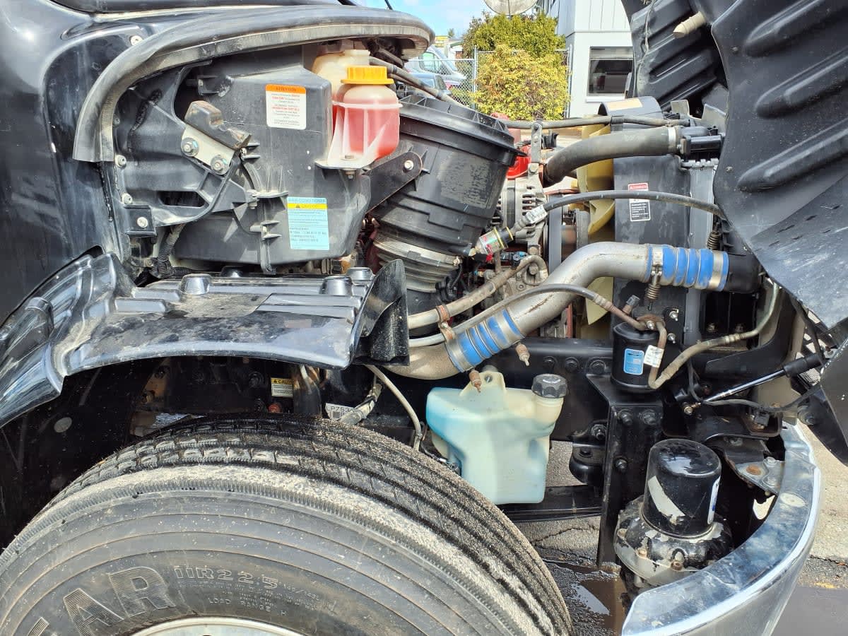 2019 Freightliner/Mercedes M2 106 894284