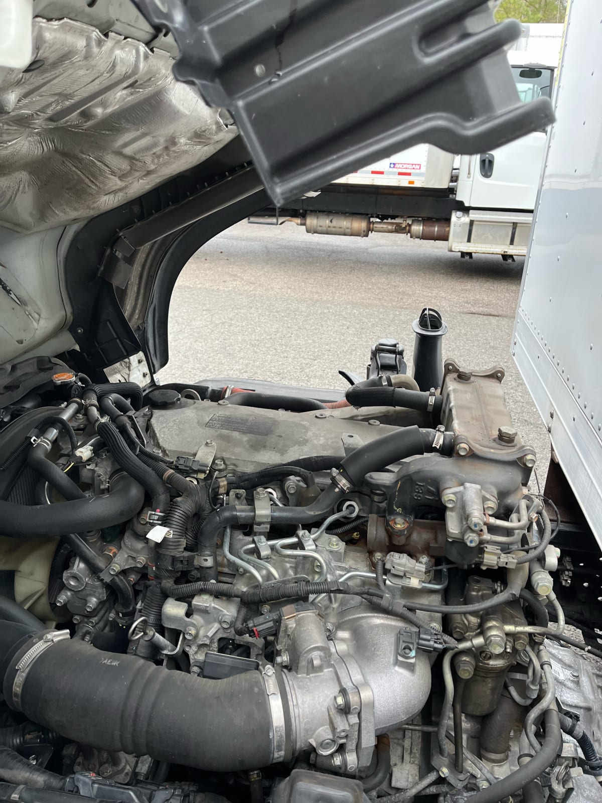 2019 Isuzu NQR 894397