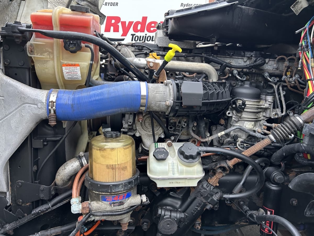 2019 Freightliner/Mercedes CASCADIA 125 894410