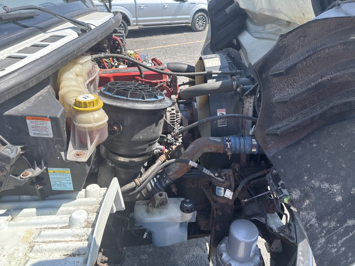 2019 Freightliner/Mercedes M2 106 894667