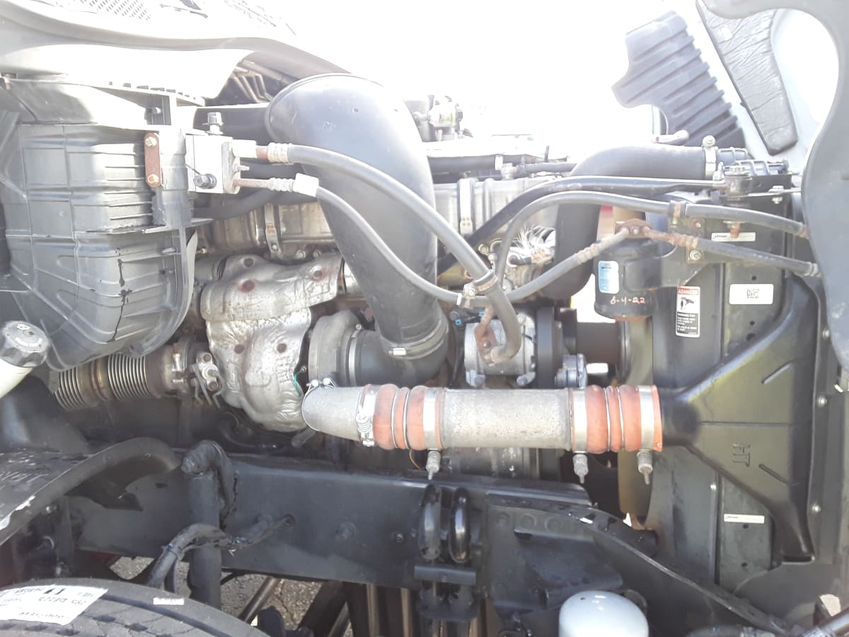 2020 Freightliner/Mercedes CASCADIA 125 894684