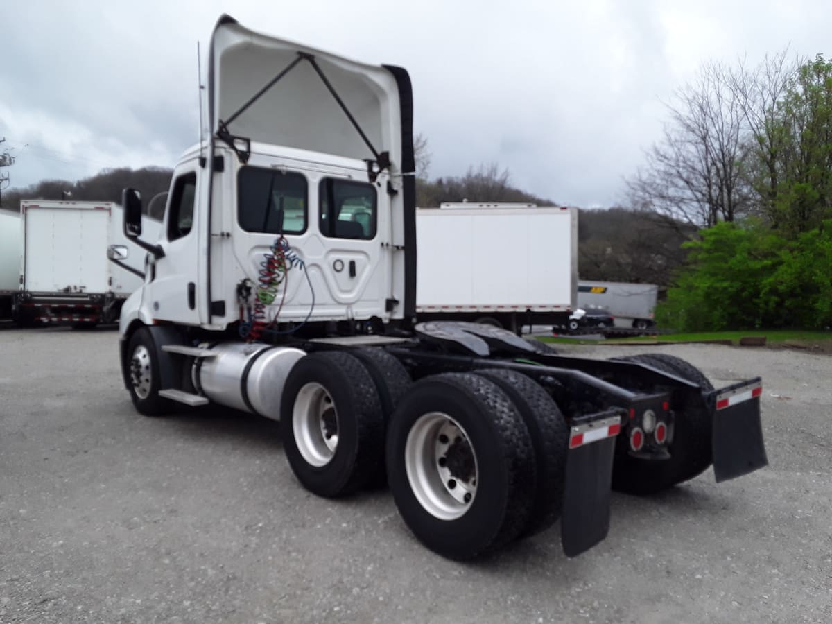 2019 Freightliner/Mercedes NEW CASCADIA 116 894790