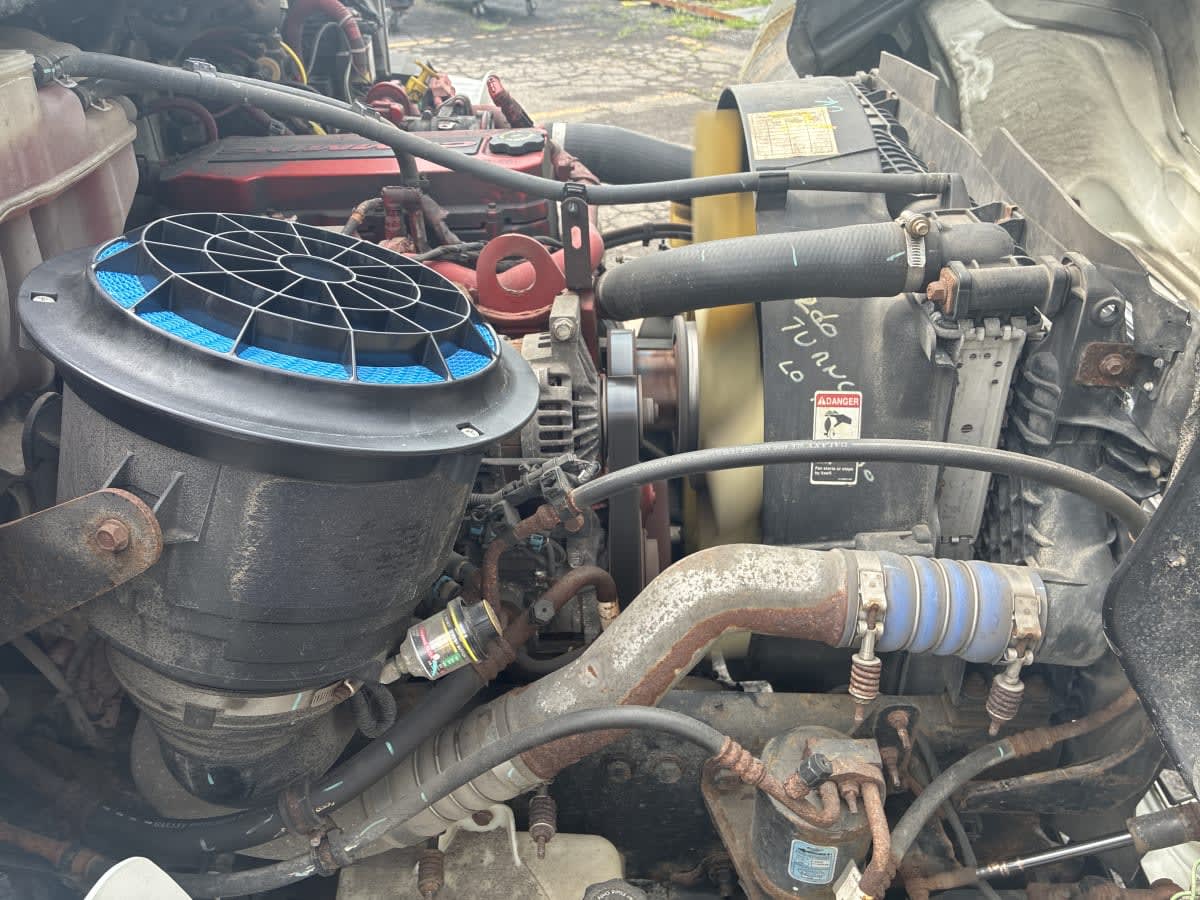 2019 Freightliner/Mercedes M2 106 894794