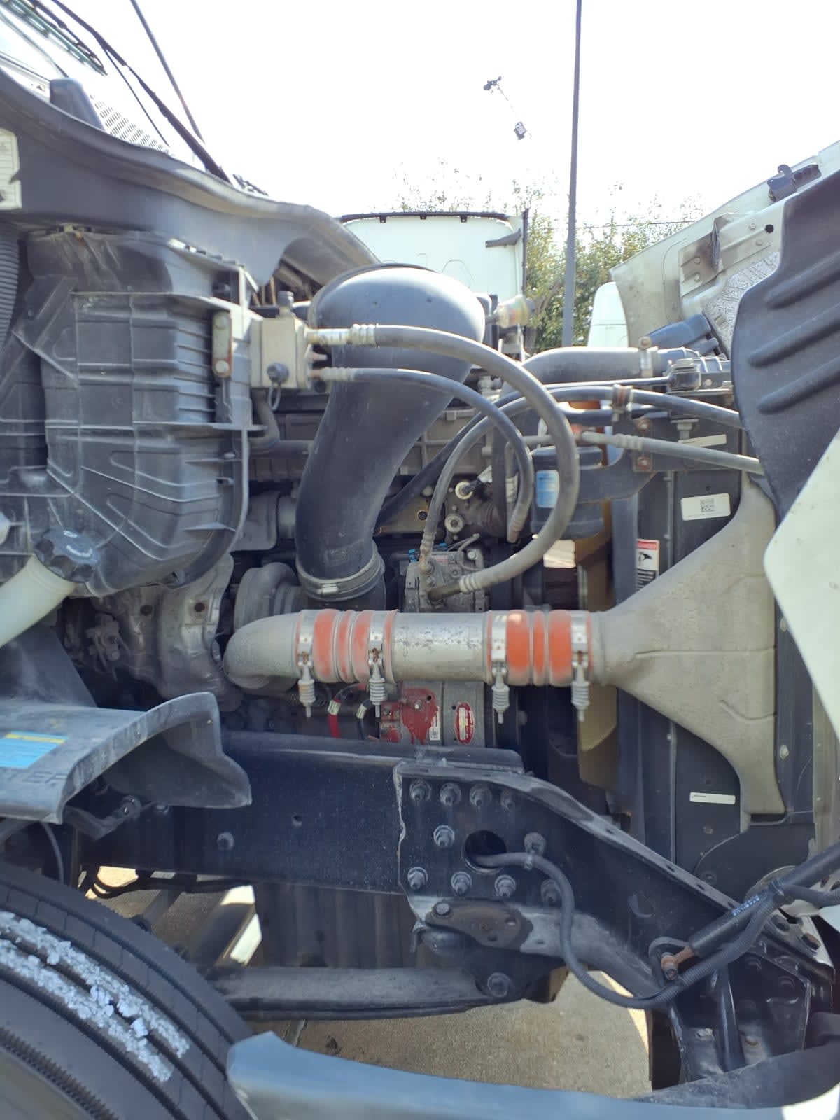 2020 Freightliner/Mercedes CASCADIA 113" DAYCAB 894920