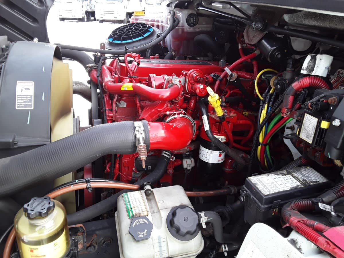 2020 Freightliner/Mercedes M2 106 894981