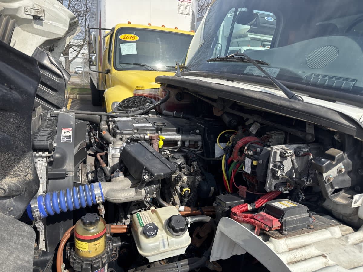 2019 Freightliner/Mercedes M2 106 895103