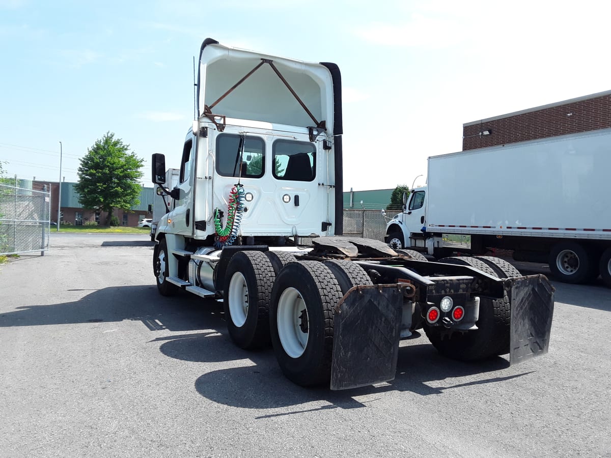 2020 Freightliner/Mercedes CASCADIA 125 895252