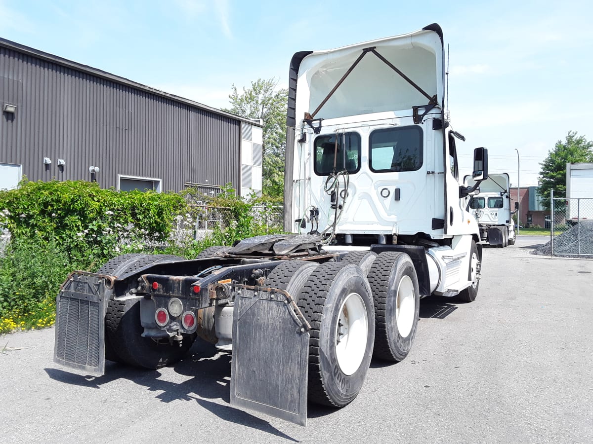 2020 Freightliner/Mercedes CASCADIA 125 895255