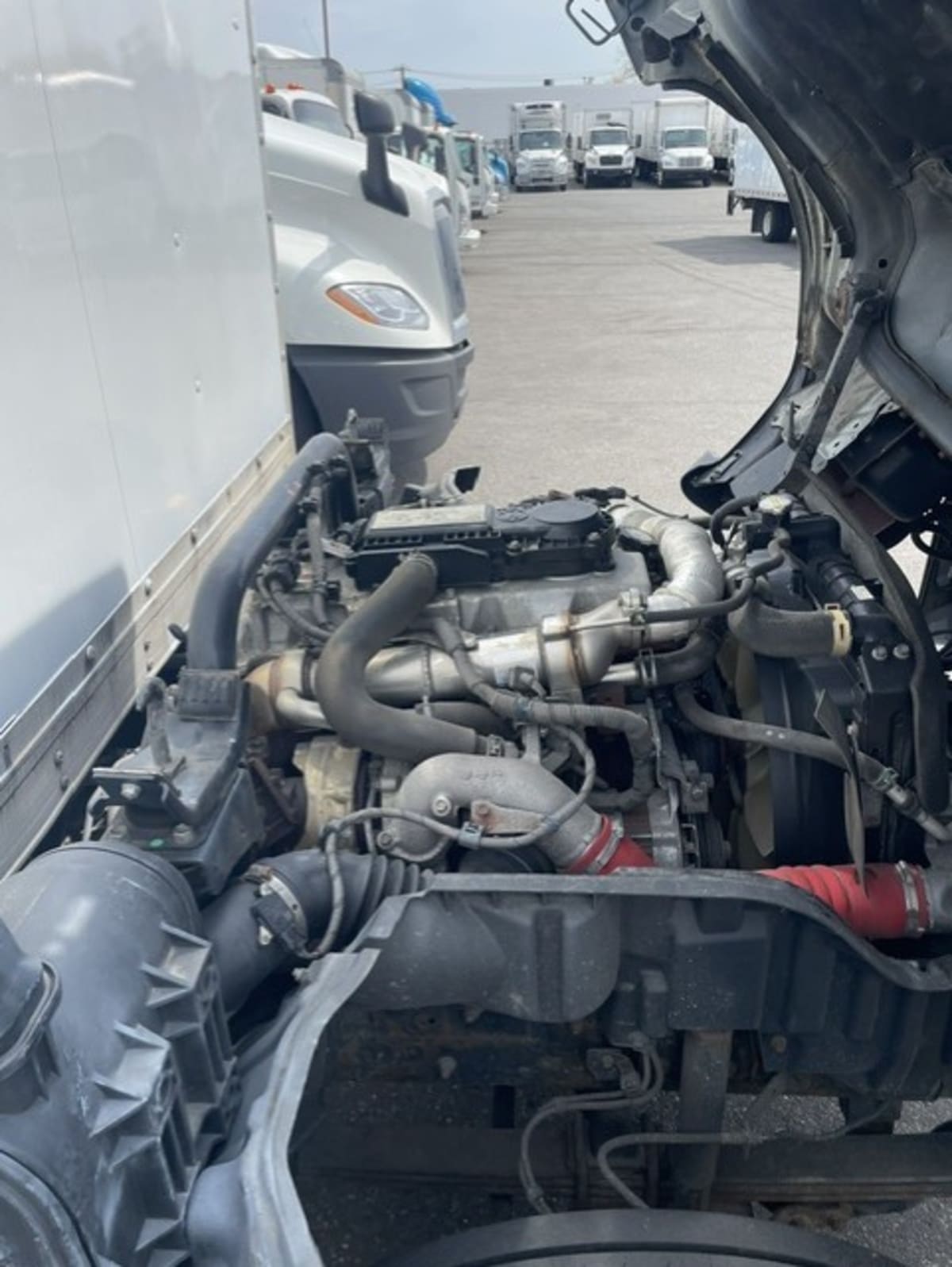 2019 Hino HINO 195 895554