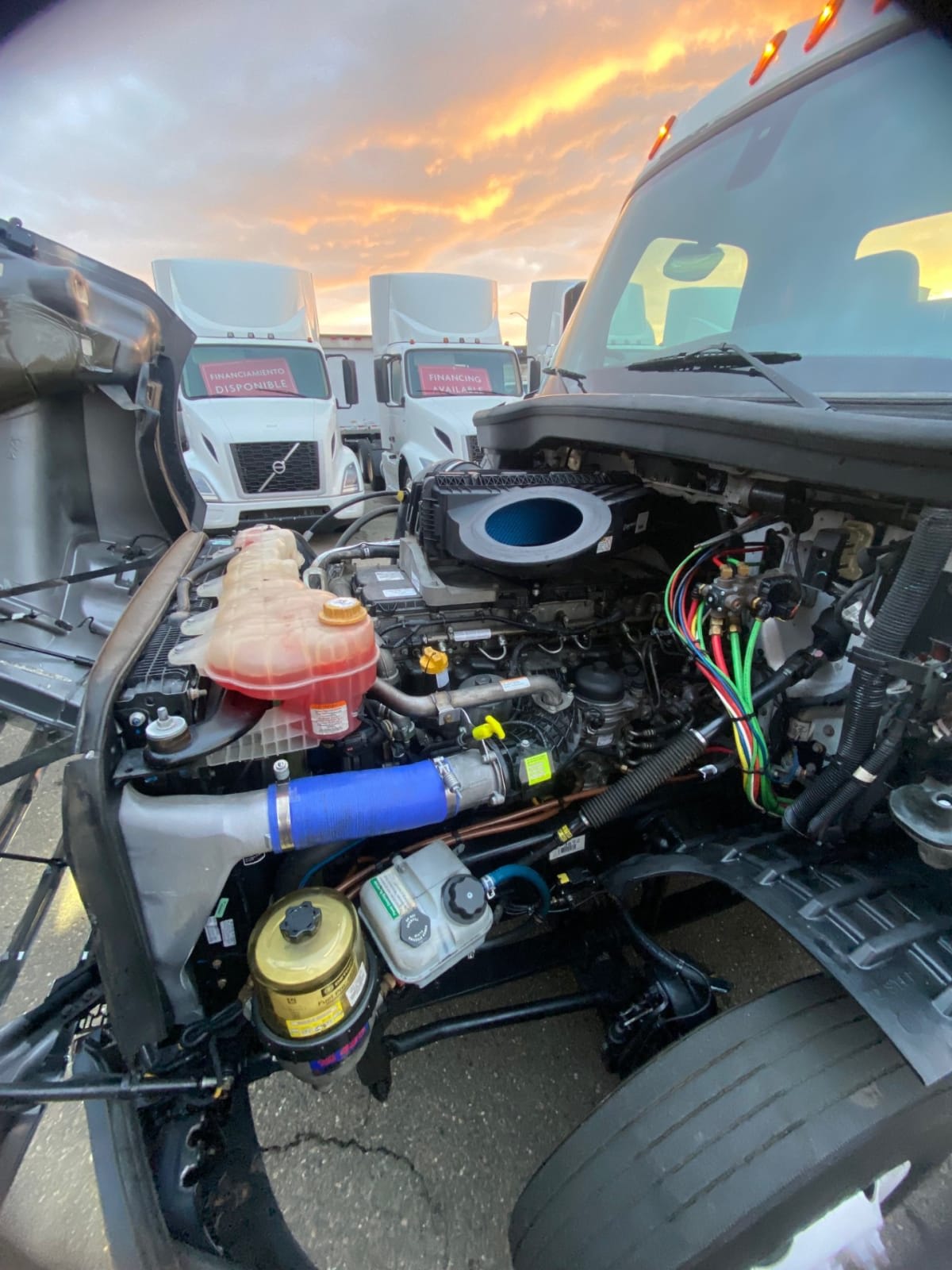 2020 Freightliner - image 15